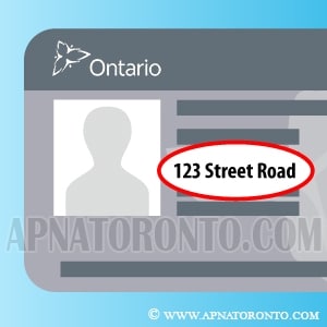 Ontario Ministry Of Transportation License Address Change