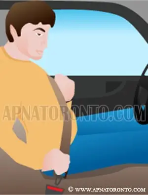 Ontario has seat belt law