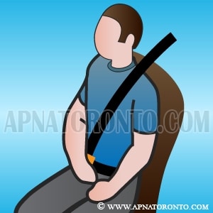 drivers responsible for their passengers buckling up