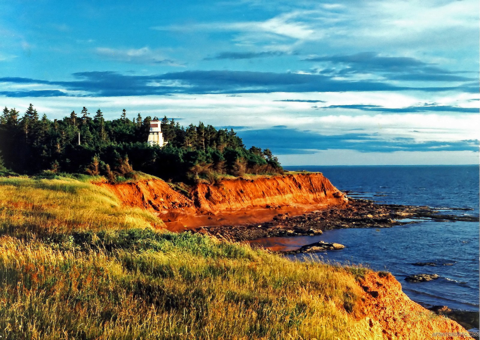 PEI Provincial Nominee Program