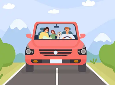 Tips On Driving Safely With A Pet | Apnatoronto.com